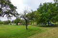 Falk-50.Geburtstag-Woodstock-Treffen 161